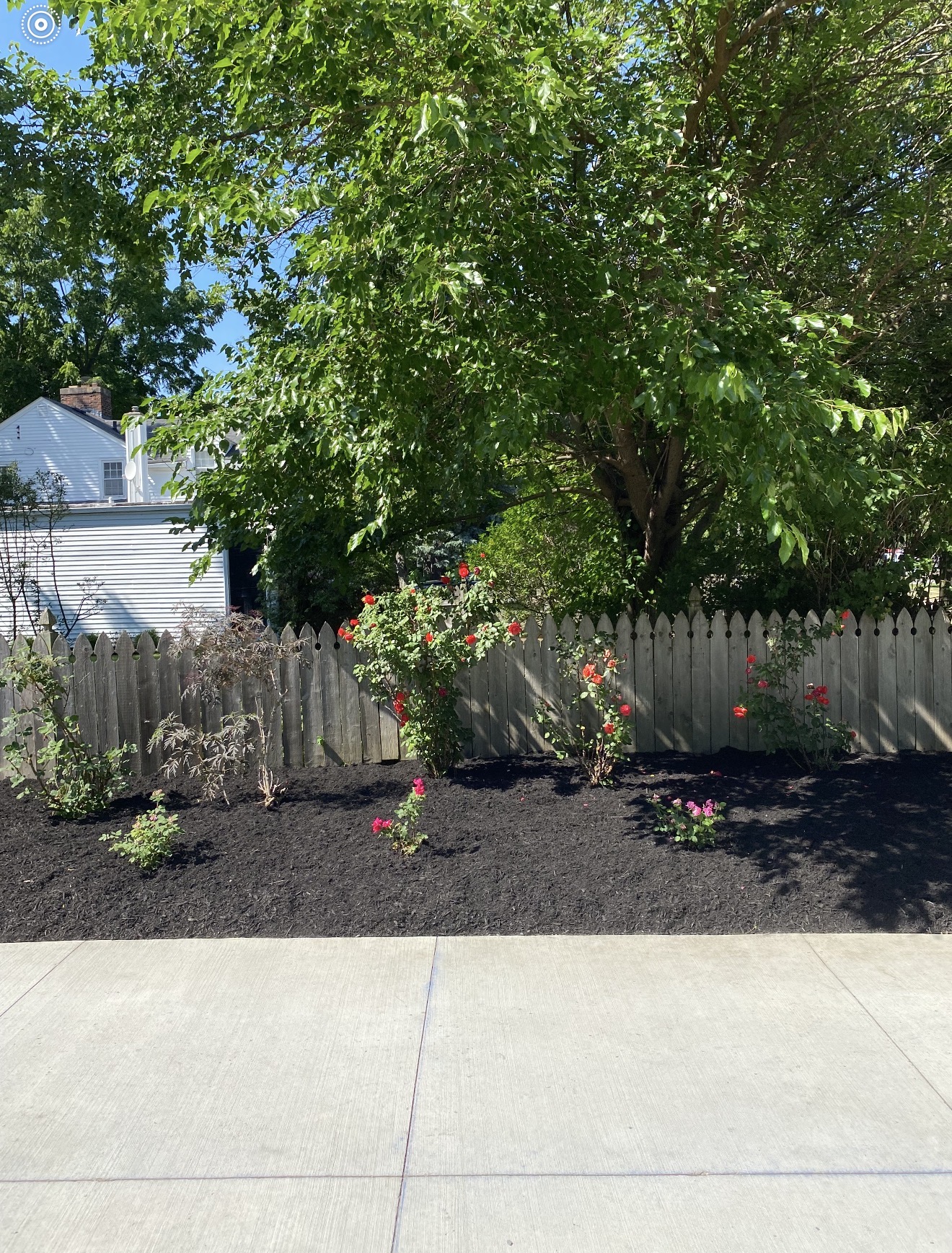 Front yard makeover — Amherst, NY after