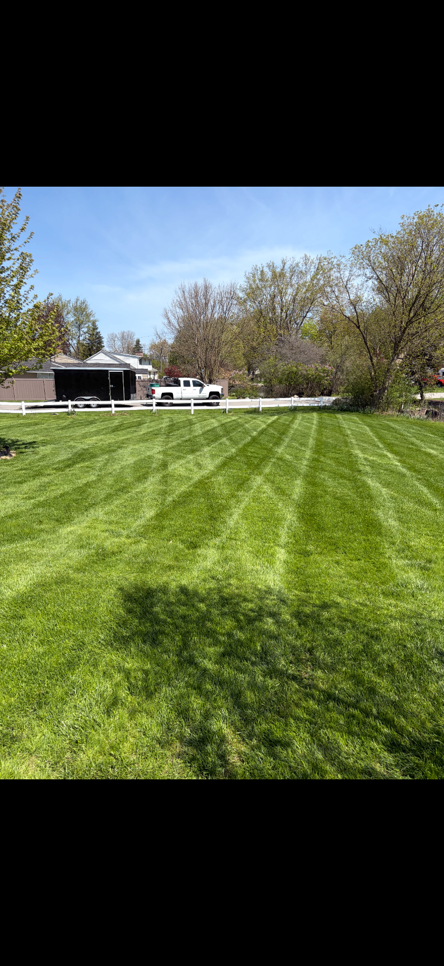 Beautifully maintained Buffalo lawn
